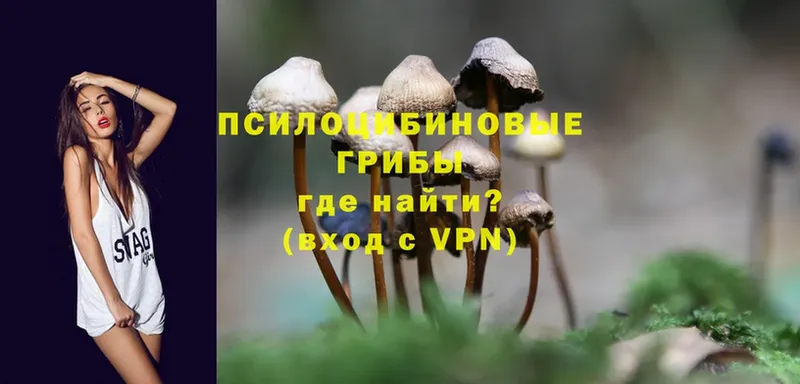 Галлюциногенные грибы Psilocybine cubensis  Ярославль 